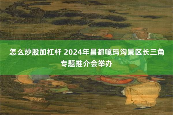 怎么炒股加杠杆 2024年昌都嘎玛沟景区长三角专题推介会举办