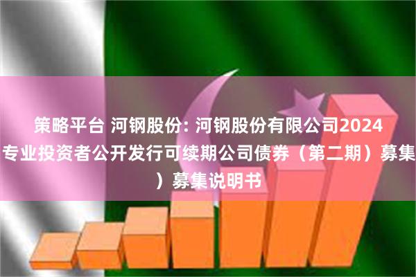 策略平台 河钢股份: 河钢股份有限公司2024年面向专业投资者公开发行可续期公司债券（第二期）募集说明书