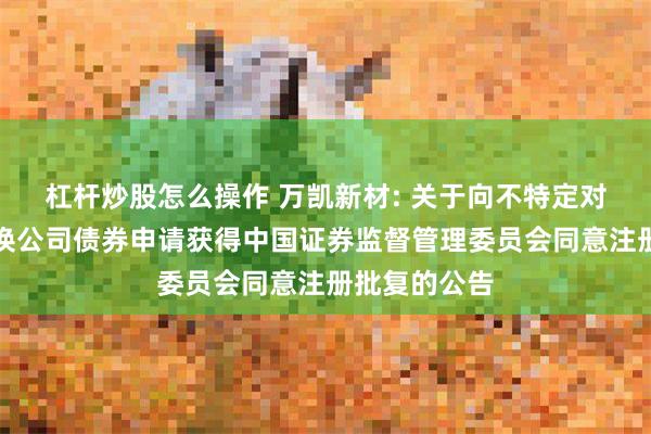 杠杆炒股怎么操作 万凯新材: 关于向不特定对象发行可转换公司债券申请获得中国证券监督管理委员会同意注册批复的公告