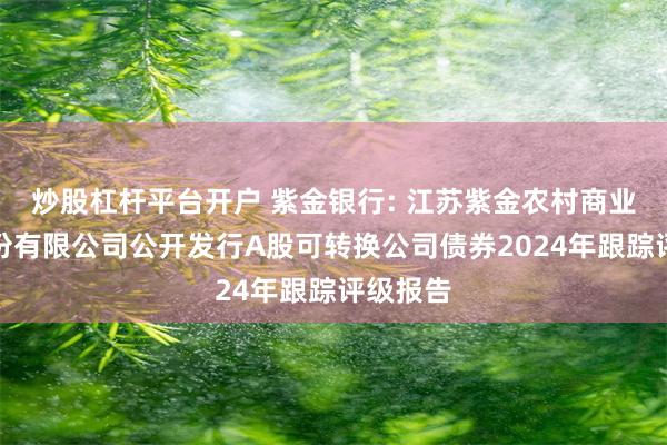 炒股杠杆平台开户 紫金银行: 江苏紫金农村商业银行股份有限公司公开发行A股可转换公司债券2024年跟踪评级报告