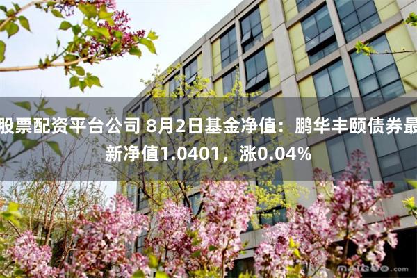 股票配资平台公司 8月2日基金净值：鹏华丰颐债券最新净值1.0401，涨0.04%