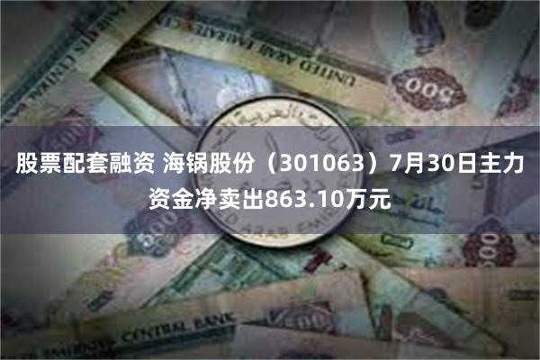 股票配套融资 海锅股份（301063）7月30日主力资金净卖出863.10万元