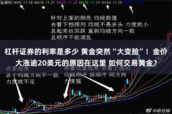 杠杆证券的利率是多少 黄金突然“大变脸”！金价大涨逾20美元的原因在这里 如何交易黄金？