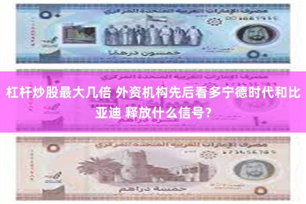 杠杆炒股最大几倍 外资机构先后看多宁德时代和比亚迪 释放什么信号？