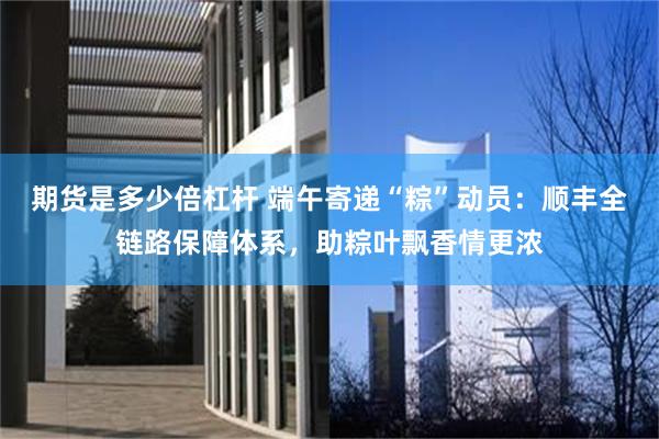 期货是多少倍杠杆 端午寄递“粽”动员:顺丰全链路保障体系,助粽叶飘香情更浓