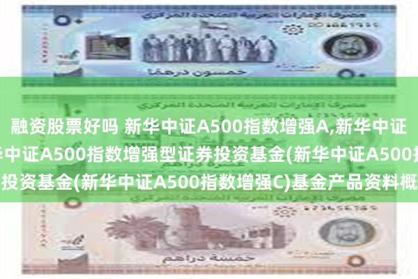 融资股票好吗 新华中证A500指数增强A,新华中证A500指数增强C: 新华中证A500指数增强型证券投资基金(新华中证A500指数增强C)基金产品资料概要